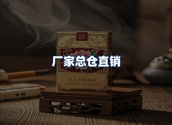 专业团队办公环境
